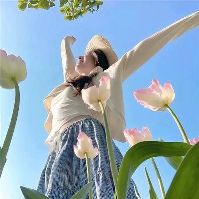 混沌之龙:赤龙战役海报